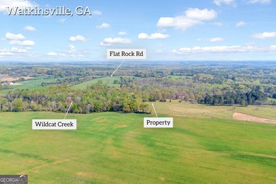 Discover the opportunity to own a beautiful farm, private estate - photo 4