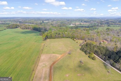 Discover the opportunity to own a beautiful farm, private estate - photo 7