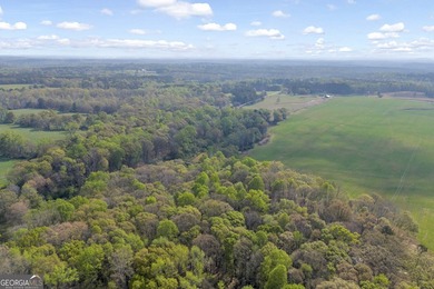 Discover the opportunity to own a beautiful farm, private estate - photo 8