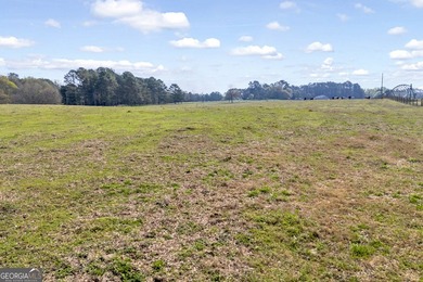 Discover the opportunity to own a beautiful farm, private estate - photo 9