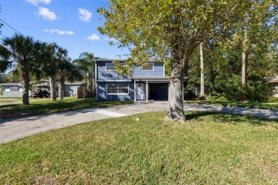 (private lake, pond, creek) Home For Sale in Dunedin Florida