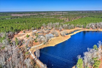 (private lake, pond, creek) Home For Sale in Williston South Carolina