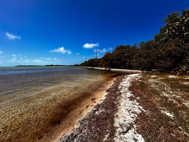 Coral Reef Village -AT Conch Key Ocean front land corner lot - photo 5