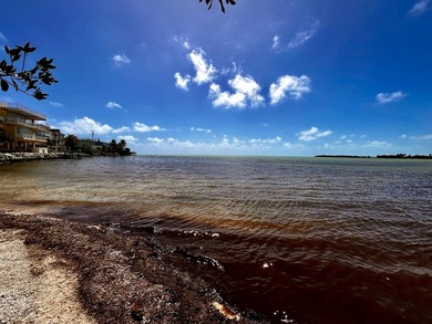 Coral Reef Village -AT Conch Key Ocean front land corner lot - photo 8