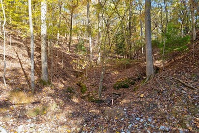 Lake Lot For Sale in Ellijay, Georgia
