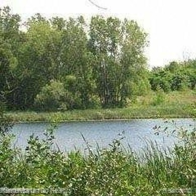 (private lake, pond, creek) Acreage For Sale in Pontiac Michigan