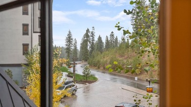 Exquisite Luxury Condo in San Miguel, Tamarack Resort. Indulge - photo 24