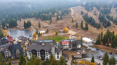 Exquisite Luxury Condo in San Miguel, Tamarack Resort. Indulge - photo 25