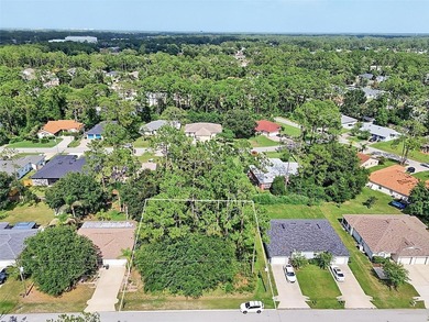 The beach is certainly within reach on this new lot listing! - photo 3
