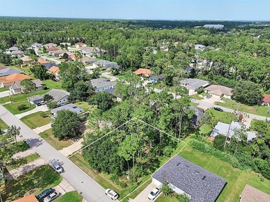 The beach is certainly within reach on this new lot listing! - photo 4