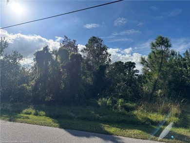 (private lake, pond, creek) Lot For Sale in Lake Placid Florida