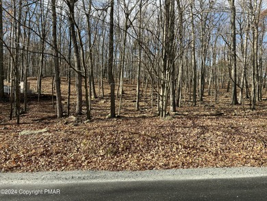 Fawn Lake Lot For Sale in Hawley Pennsylvania