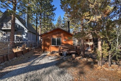 676 Pine Ln - photo 3