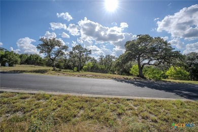 Exceptional 1/2 acre home-site in the prestigious gated - photo 4