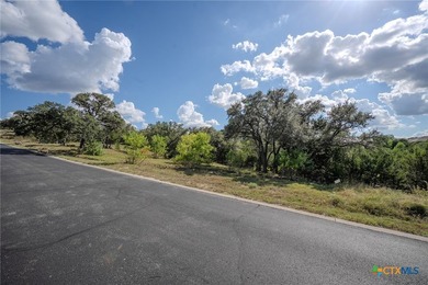 Exceptional 1/2 acre home-site in the prestigious gated - photo 5
