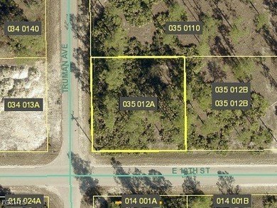 Lehigh Acres Area Lot For Sale in Lehigh Acres Florida