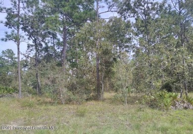 Close to Weeki Wachee Springs - Half Acre lot for sale by owner - photo 3