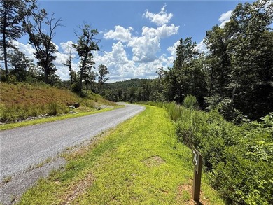 Coosawattee River - Gilmer County Lot For Sale in Ellijay Georgia