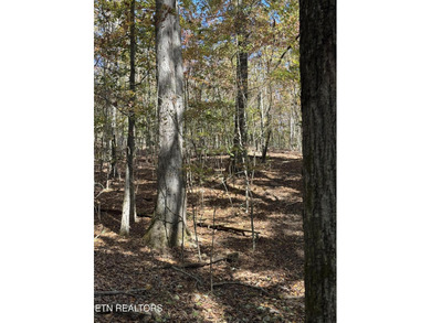 Tellico Lake Acreage For Sale in Loudon Tennessee