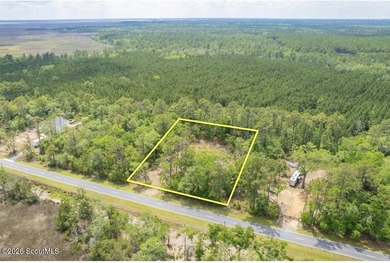 Beautifully cleared residential lot offering breathtakingly - photo 17