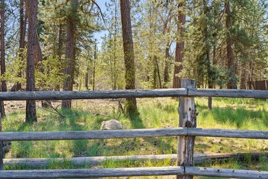 Tucked into a quiet, tree filled setting, this exceptional - photo 7