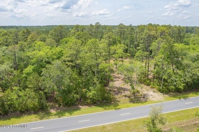Beautifully cleared residential lot offering breathtakingly - photo 25