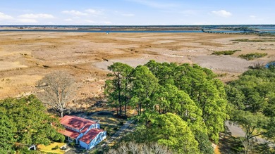 613 Cypress Ct. offers a perfect blend of southern charm and - photo 30