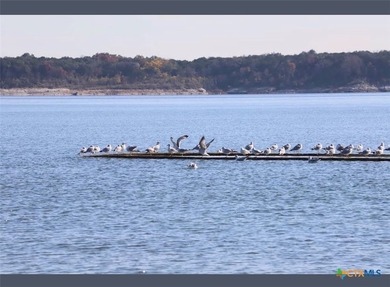 A rare opportunity to own a piece of peaceful Texas countryside