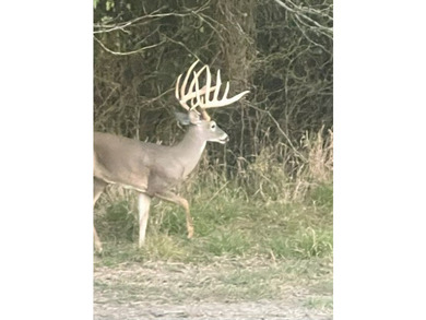 (private lake, pond, coastal) Acreage For Sale in Scurry Texas