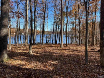 Hyco Lake Acreage For Sale in Leasburg North Carolina