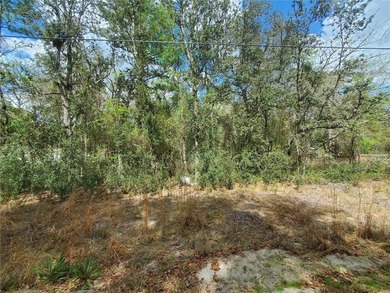 Lake Ocklawaha Lot For Sale in Fort Mccoy Florida