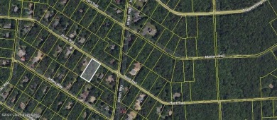 Lake Lot For Sale in Albrightsville, Pennsylvania