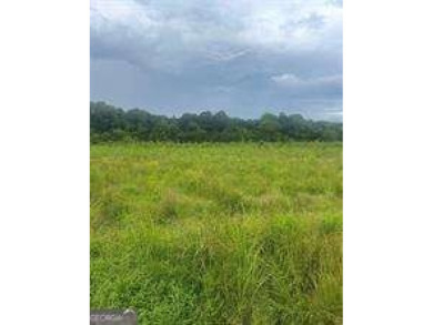 Lake Acreage For Sale in Ranger, Georgia
