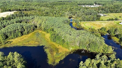 Large lot with water access to Estes Lake. This large lot offers - photo 3