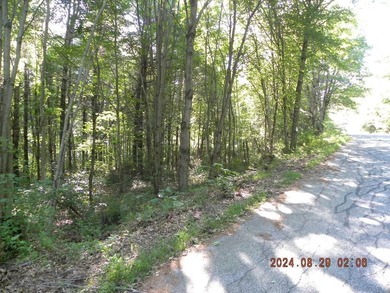 Large lot with water access to Estes Lake. This large lot offers - photo 4