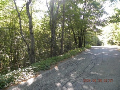 Large lot with water access to Estes Lake. This large lot offers - photo 5