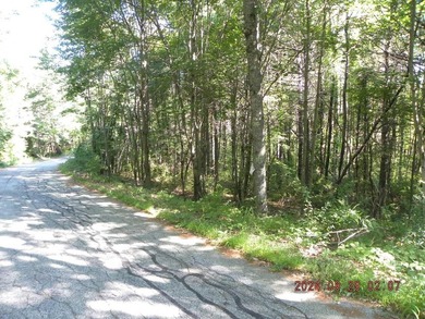 Large lot with water access to Estes Lake. This large lot offers - photo 6