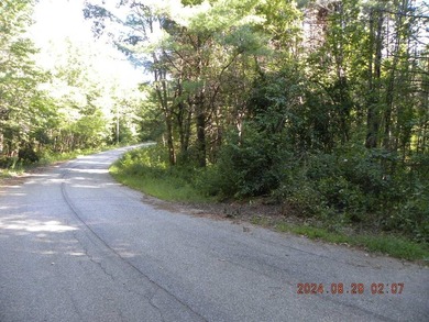 Large lot with water access to Estes Lake. This large lot offers - photo 7