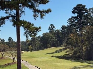 Experience refined living at 311 Katy Lane, perfectly positioned - photo 9