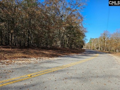 (private lake, pond, coastal) Lot For Sale in Neeses South Carolina