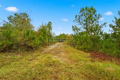 (private lake, pond, coastal) Acreage For Sale in Aiken South Carolina