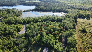 Lake Lot For Sale in Wewahitchka, Florida