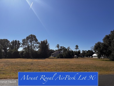 Lake George Lot Sale Pending in Crescent City Florida