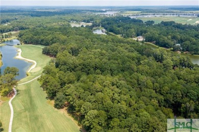 Lake Acreage For Sale in Richmond Hill, Georgia