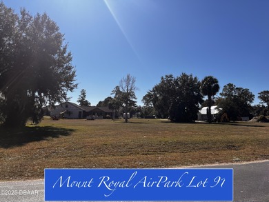 Lake George Lot Sale Pending in Crescent City Florida