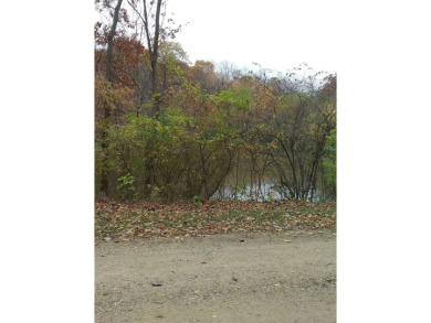 Lake Lot For Sale in Edelstein, Illinois