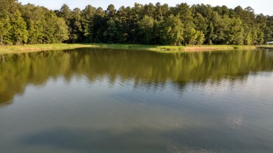 Lakefront .75 acre lot located in desirable Providence Ferry - Lake Lot For Sale in Lincolnton, Georgia