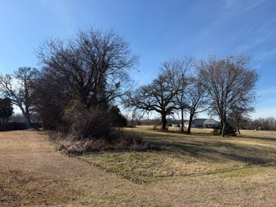 1 Acre Lake Subdivision Lot - The Shores - Corsicana, TX - photo 6