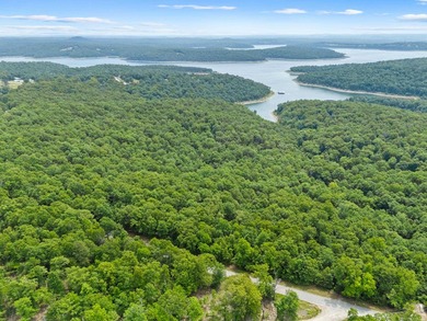 An opportunity like this is incredibly rare near Norfork Lake - photo 7
