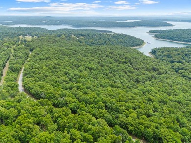 An opportunity like this is incredibly rare near Norfork Lake - photo 8